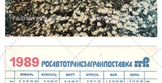 Росавтозагранпоставка: Поле ромашек 1989